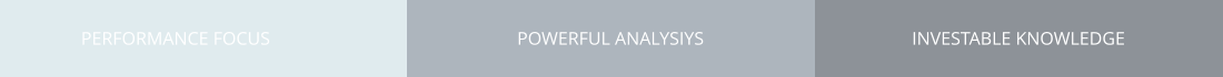 PERFORMANCE FOCUS POWERFUL ANALYSIYS INVESTABLE KNOWLEDGE